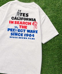 The Endless Summer | 【WEB / FLAG SHOP限定】TES 3COLOR LOGO FLOCK PT T-SHIRT / Tシャツ(Tシャツ/カットソー)