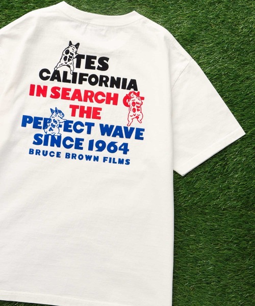 The Endless Summer（エンドレスサマー）の「【WEB / FLAG SHOP限定】TES 3COLOR LOGO FLOCK PT T-SHIRT / Tシャツ（Tシャツ/カットソー・メンズ・ホワイト/アイボリー/グレー・X-LARGE/LARGE/MEDIUM/SMALL/XX-LARGE）」の2枚目の写真