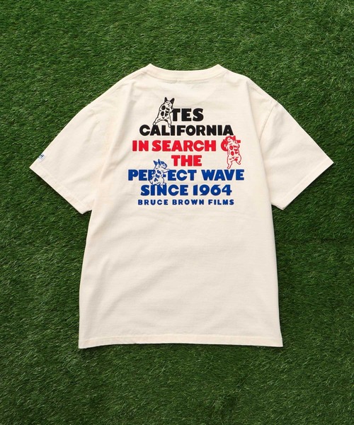 The Endless Summer（エンドレスサマー）の「【WEB / FLAG SHOP限定】TES 3COLOR LOGO FLOCK PT T-SHIRT / Tシャツ（Tシャツ/カットソー・メンズ・ホワイト/アイボリー/グレー・X-LARGE/LARGE/MEDIUM/SMALL/XX-LARGE）」の11枚目の写真
