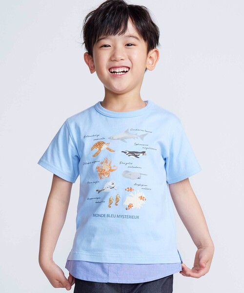 BeBe（ベベ）の「【 速乾 】【神戸須磨シーワールド×BeBe】不思議な青い世界 海の生きもの半袖Tシャツ(80~140cm)（Tシャツ/カットソー・キッズ・ブルー/グリーン・130cm/120cm/110cm/140cm）」の2枚目の写真