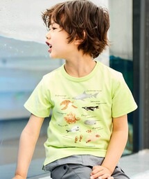 BeBe | 【 速乾 】【神戸須磨シーワールド×BeBe】不思議な青い世界 海の生きもの半袖Tシャツ(80~140cm)(Tシャツ/カットソー)