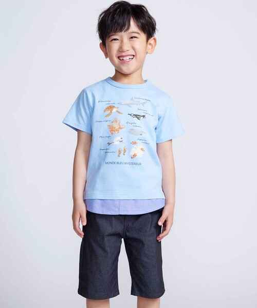 BeBe（ベベ）の「【 速乾 】【神戸須磨シーワールド×BeBe】不思議な青い世界 海の生きもの半袖Tシャツ(80~140cm)（Tシャツ/カットソー・キッズ・ブルー/グリーン・130cm/120cm/110cm/140cm）」の5枚目の写真