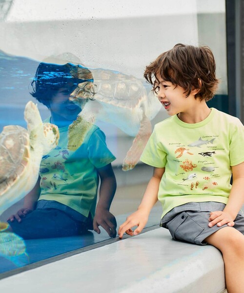 BeBe（ベベ）の「【 速乾 】【神戸須磨シーワールド×BeBe】不思議な青い世界 海の生きもの半袖Tシャツ(80~140cm)（Tシャツ/カットソー・キッズ・ブルー/グリーン・130cm/120cm/110cm/140cm）」の7枚目の写真
