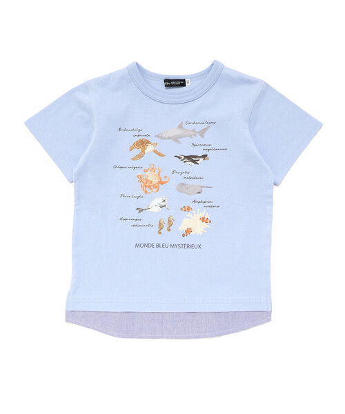 BeBe（ベベ）の「【 速乾 】【神戸須磨シーワールド×BeBe】不思議な青い世界 海の生きもの半袖Tシャツ(80~140cm)（Tシャツ/カットソー・キッズ・ブルー/グリーン・130cm/120cm/110cm/140cm）」の9枚目の写真