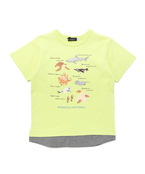 BeBe（ベベ）の「【 速乾 】【神戸須磨シーワールド×BeBe】不思議な青い世界 海の生きもの半袖Tシャツ(80~140cm)（Tシャツ/カットソー・キッズ・ブルー/グリーン・130cm/120cm/110cm/140cm）」の11枚目の写真