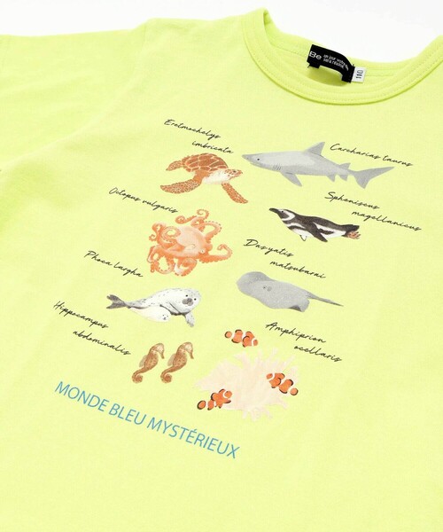 BeBe（ベベ）の「【 速乾 】【神戸須磨シーワールド×BeBe】不思議な青い世界 海の生きもの半袖Tシャツ(80~140cm)（Tシャツ/カットソー・キッズ・ブルー/グリーン・130cm/120cm/110cm/140cm）」の14枚目の写真