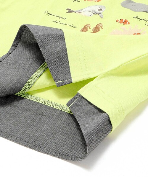 BeBe（ベベ）の「【 速乾 】【神戸須磨シーワールド×BeBe】不思議な青い世界 海の生きもの半袖Tシャツ(80~140cm)（Tシャツ/カットソー・キッズ・ブルー/グリーン・130cm/120cm/110cm/140cm）」の18枚目の写真