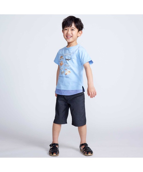 BeBe（ベベ）の「【 速乾 】【神戸須磨シーワールド×BeBe】不思議な青い世界 海の生きもの半袖Tシャツ(80~140cm)（Tシャツ/カットソー・キッズ・ブルー/グリーン・130cm/120cm/110cm/140cm）」の3枚目の写真
