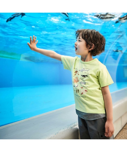 BeBe（ベベ）の「【 速乾 】【神戸須磨シーワールド×BeBe】不思議な青い世界 海の生きもの半袖Tシャツ(80~140cm)（Tシャツ/カットソー・キッズ・ブルー/グリーン・130cm/120cm/110cm/140cm）」の4枚目の写真