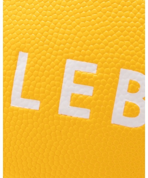 APPLEBUM（アップルバム）の「APPLEBUM × TACHIKARA CUSTOM BASKETBALL “Y.E.L.”（スポーツグッズ・メンズ・イエロー・ONE SIZE）」の8枚目の写真