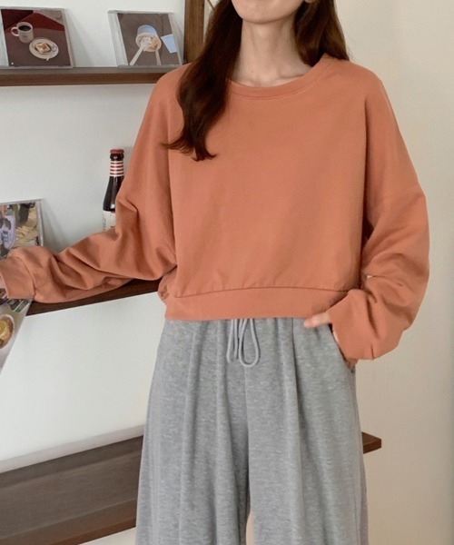 SallyLunn(サリーラン)の「ショート丈シンプルスウェット(スウェット・レディース・ブルー/ベージュ/オレンジ/グリーン・LARGE/MEDIUM)」の6枚目の写真