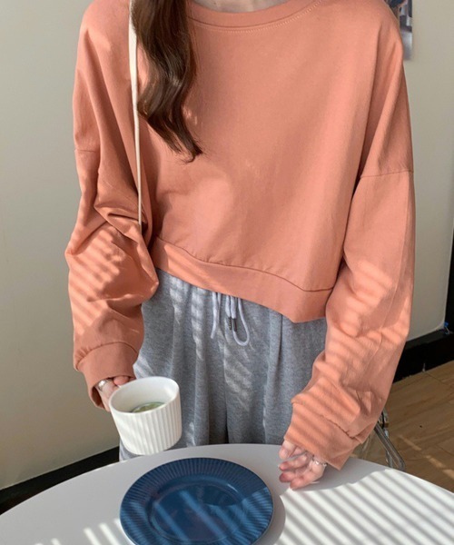 SallyLunn(サリーラン)の「ショート丈シンプルスウェット(スウェット・レディース・ブルー/ベージュ/オレンジ/グリーン・LARGE/MEDIUM)」の9枚目の写真