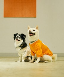 UNIVERSAL OVERALL（ユニバーサルオーバーオール）の「UNIVERSAL OVERALL / UOD / PACK TEE / パックTシャツ（2枚セット・犬服）（ペットウェア）」
