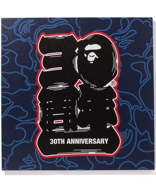 BAPE 30TH ANNIV. CANVAS L M