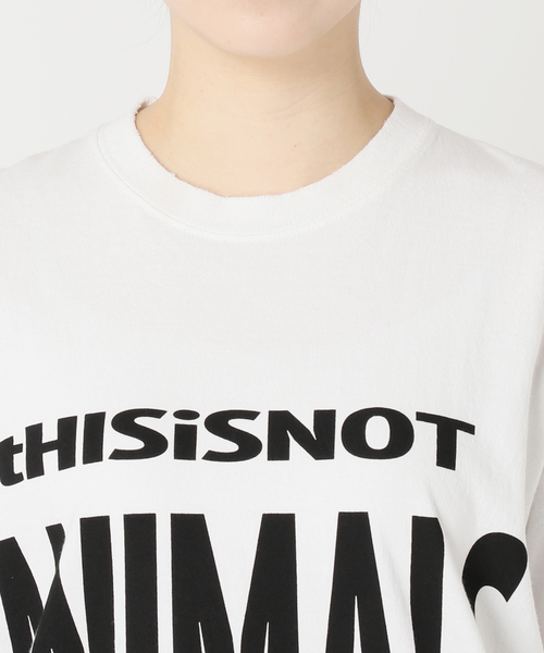 STUDIO WEAREALLANIMALS This is nowTシャツ完売 STUDIO WEAREALLANIMALS This is now Tシャツ(Tシャツ