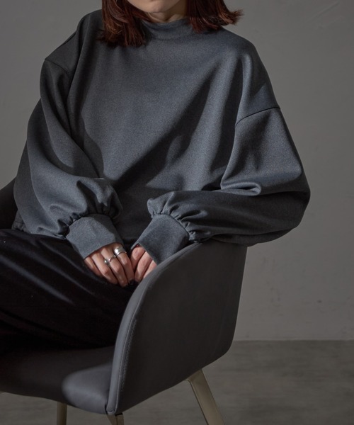 Theory 24AW 25SS 一部店舗限定 ハイネック プルオーバー 新品 シアーネットハイネックプルオーバー トップス シアートップス