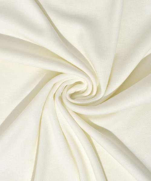 flower（フラワー）の「リボンエンブロイダリーロングスリーブ2（Tシャツ/カットソー・レディース・ブルー/アイボリー・FREE）」の13枚目の写真