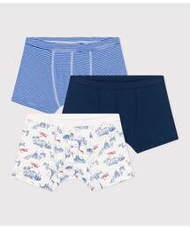 PETIT BATEAU(v`og[)̃gNXRg(gNX)