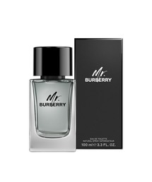 Burberry Beauty(o[o[ r[eB)̃~X^[ o[o[ I[hg 100mL()