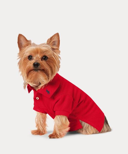 コットン メッシュ ドッグ ポロシャツ（ペットウェア）｜RALPH LAUREN