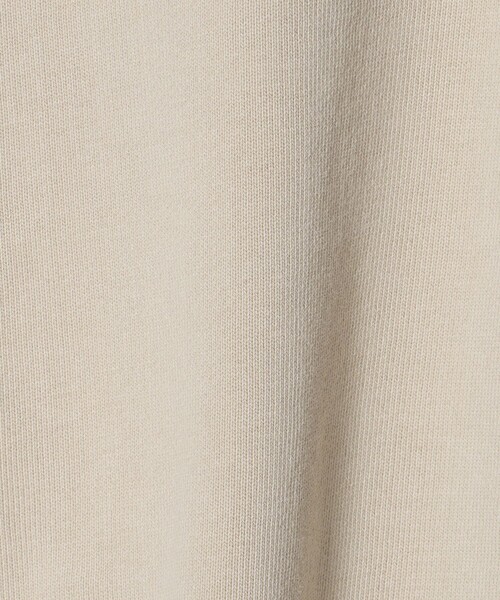 BEAUTY&YOUTH UNITED ARROWS(ビューティーアンドユースユナイテッドアローズ)の「コットン裏毛 ジップパーカー(パーカー・レディース・ベージュ/ダークブラウン/ダークグレー・FREE)」の14枚目の写真