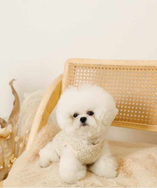 moncheri（モンシェリ）の「リバーシブル小花柄キルティングベスト / 犬服 / ドッグウェア（ペットウェア・レディース・ブルー/グリーン・L/S/M/XL）」の3枚目の写真