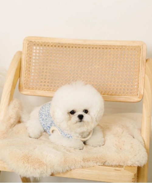 moncheri（モンシェリ）の「リバーシブル小花柄キルティングベスト / 犬服 / ドッグウェア（ペットウェア・レディース・ブルー/グリーン・L/S/M/XL）」の4枚目の写真