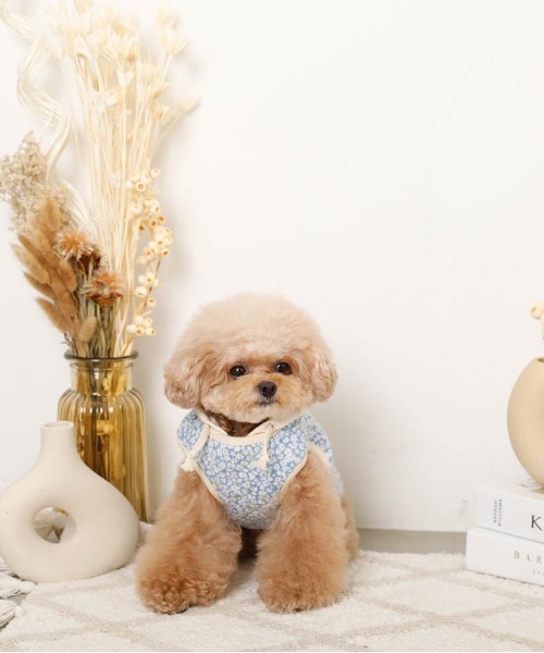 moncheri（モンシェリ）の「リバーシブル小花柄キルティングベスト / 犬服 / ドッグウェア（ペットウェア・レディース・ブルー/グリーン・L/S/M/XL）」の7枚目の写真