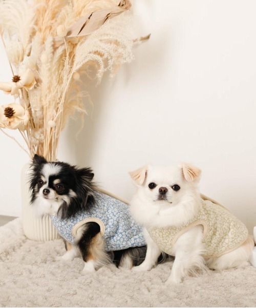 moncheri（モンシェリ）の「リバーシブル小花柄キルティングベスト / 犬服 / ドッグウェア（ペットウェア・レディース・ブルー/グリーン・L/S/M/XL）」の11枚目の写真