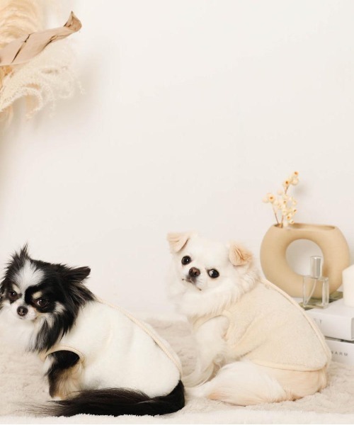 moncheri（モンシェリ）の「リバーシブル小花柄キルティングベスト / 犬服 / ドッグウェア（ペットウェア・レディース・ブルー/グリーン・L/S/M/XL）」の12枚目の写真