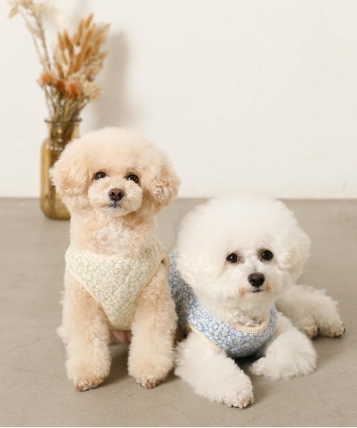 moncheri（モンシェリ）の「リバーシブル小花柄キルティングベスト / 犬服 / ドッグウェア（ペットウェア・レディース・ブルー/グリーン・L/S/M/XL）」の14枚目の写真