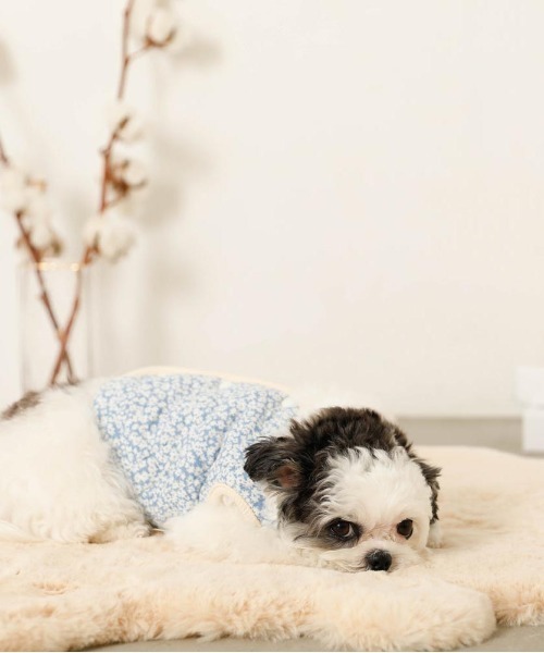 moncheri（モンシェリ）の「リバーシブル小花柄キルティングベスト / 犬服 / ドッグウェア（ペットウェア・レディース・ブルー/グリーン・L/S/M/XL）」の17枚目の写真