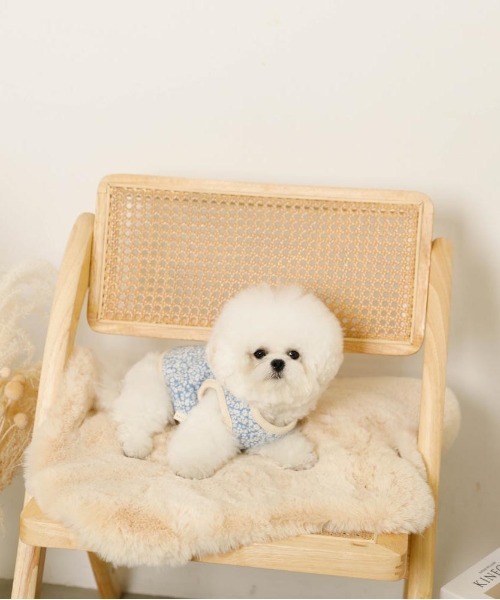 moncheri（モンシェリ）の「リバーシブル小花柄キルティングベスト / 犬服 / ドッグウェア（ペットウェア・レディース・ブルー/グリーン・L/S/M/XL）」の19枚目の写真