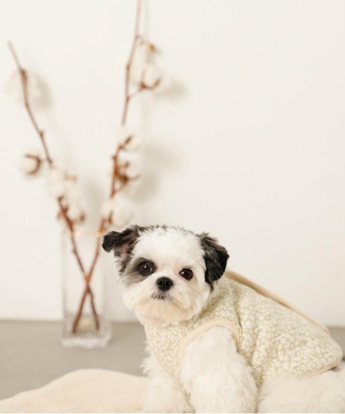 moncheri（モンシェリ）の「リバーシブル小花柄キルティングベスト / 犬服 / ドッグウェア（ペットウェア・レディース・ブルー/グリーン・L/S/M/XL）」の20枚目の写真