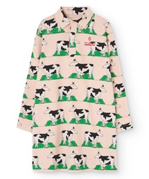 The animals observatory（ジ・アニマルズ・オブザーバトリー）の「The