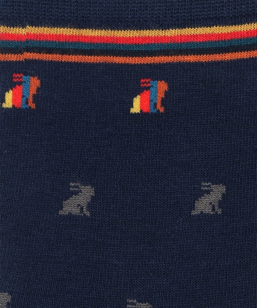 Paul Smith(ポールスミス)の「ウィメンズ アーティストストライプラビット ソックス / 145601 CSW(ソックス/靴下・レディース・グレー/オフホワイト/ネイビー・22-24)」の6枚目の写真