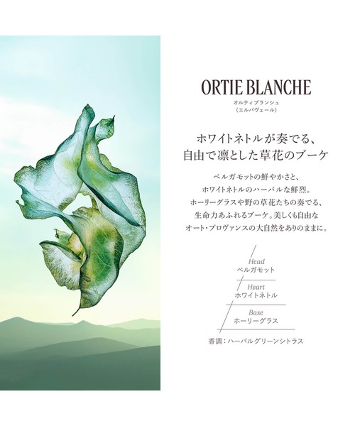 L'OCCITANE（ロクシタン）の「オルティブランシュ[エルバヴェール] オードパルファム 50mL（香水・レディース・その他・FREE）」の10枚目の写真