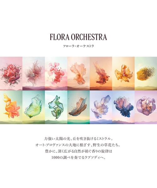 L'OCCITANE（ロクシタン）の「オルティブランシュ[エルバヴェール] オードパルファム 50mL（香水・レディース・その他・FREE）」の6枚目の写真