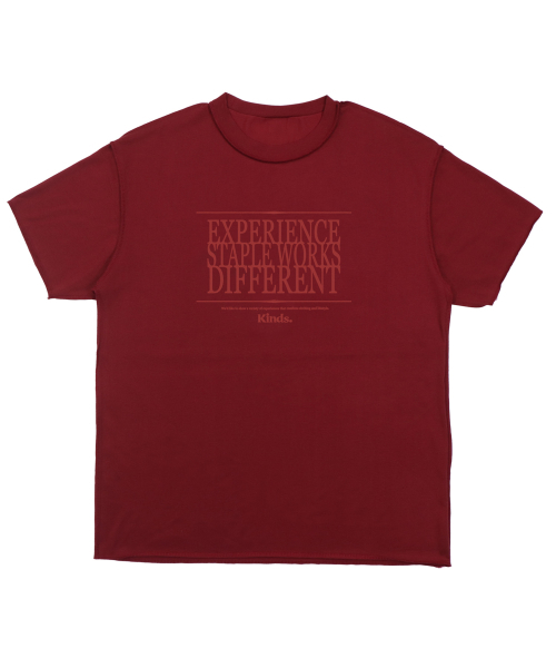 KINDS（カインズ）の「20 count premium single 3 line logo short sleeve t-shirt (Navy)（Tシャツ/カットソー・レディース・その他・MEDIUM/LARGE）」の2枚目の写真