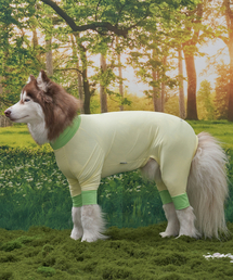 DOGI（ドッグアイ）の「子犬用害虫防止服オールインワンクーリングスーツレモン（ペットウェア）」