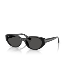 Ray-Ban | Ray-Ban レイバン サングラス RB4457D BIO-BASED/紫外線対策/ピローシェイプ(アジアンデザインモデル・ローブリッジフィット)(サングラス)