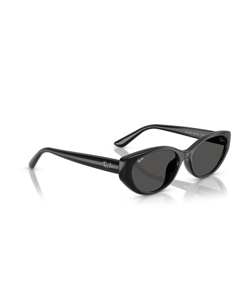 Ray-Ban(レイバン)の「Ray-Ban レイバン サングラス RB4457D BIO-BASED/紫外線対策/ピローシェイプ(アジアンデザインモデル・ローブリッジフィット)(サングラス・メンズ・グレー・ONE SIZE)」の6枚目の写真