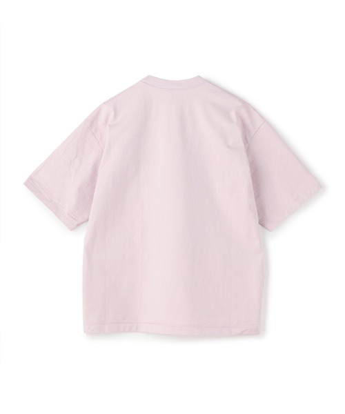 AURALEE オーラリー　トップス　半袖　短丈 AURALEE / オーラリー | WASHED FINX TWILL HALF SLEEVED P/O