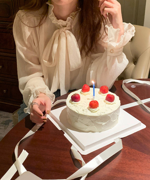 JUNOAH(ジュノア)の「ハイネックシアーシフォントップス(シャツ/ブラウス・レディース・ブラック/クリーム・FREE)」の8枚目の写真