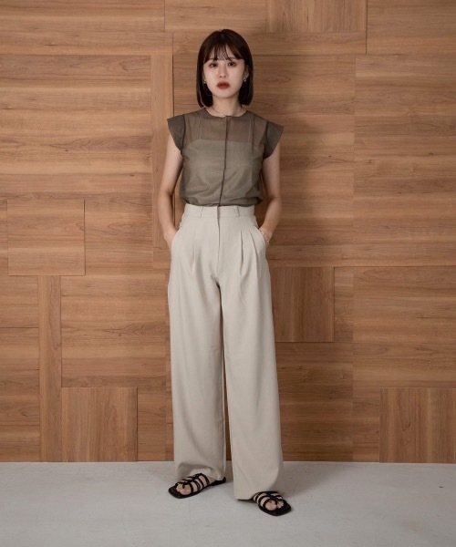 Amiur(エミレ)の「french sleeve sheer tops(Tシャツ/カットソー・レディース・ブラウン/グレー/アイボリー・FREE)」の8枚目の写真