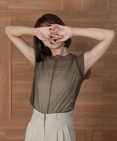 Amiur(エミレ)の「french sleeve sheer tops(Tシャツ/カットソー・レディース・ブラウン/グレー/アイボリー・FREE)」の13枚目の写真