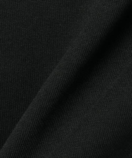 THE NORTH FACE（ザノースフェイス）の「＜THE NORTH FACE＞ SHORT SLEEVE HISTORICAL TEE/Tシャツ（Tシャツ/カットソー・メンズ・ブラック/ホワイト・M/L/XL）」の8枚目の写真