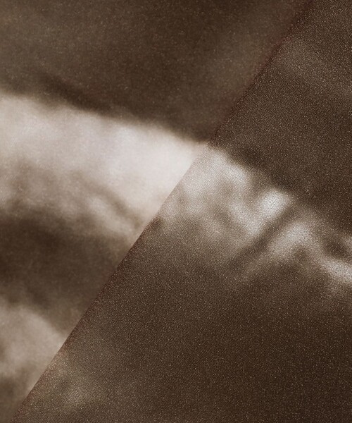 Ray BEAMS(レイビームス)の「RBS / グラデーション プリント ハイネック トップス(Tシャツ/カットソー・レディース・ダークブラウン/その他・ONE SIZE)」の19枚目の写真