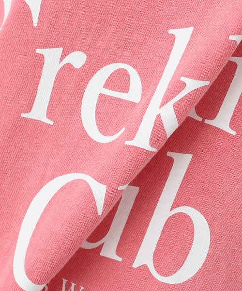 journal standard L'essage(ジャーナルスタンダードレサージュ)の「【MAINE】ピグメントTシャツ(Tシャツ/カットソー・レディース・ピンク/ブラウン/ホワイト/ブラック・FREE)」の5枚目の写真