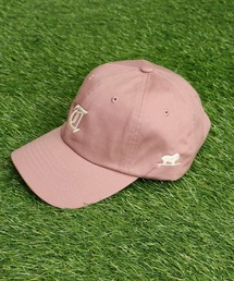 The Endless Summer | TES OLD ENGLISH LOGO LOW CAP / キャップ(キャップ)
